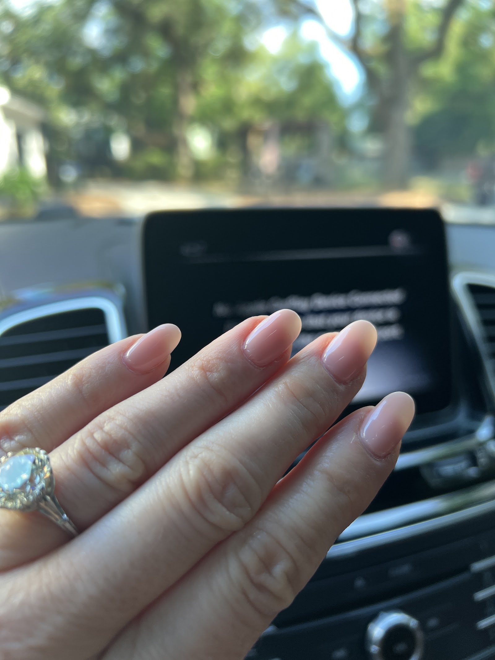 Shears & Brushes nail work in Summerville, South Carolina